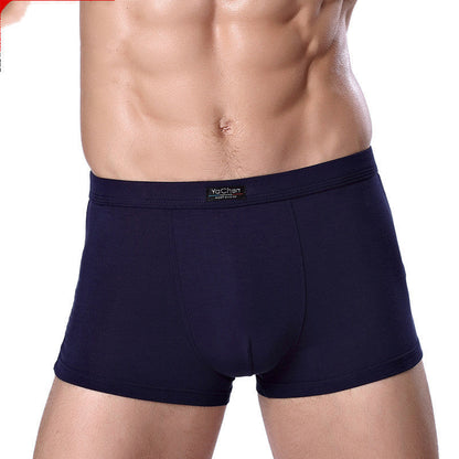 Thomas – Men's Bamboo Fiber Boxer Briefs