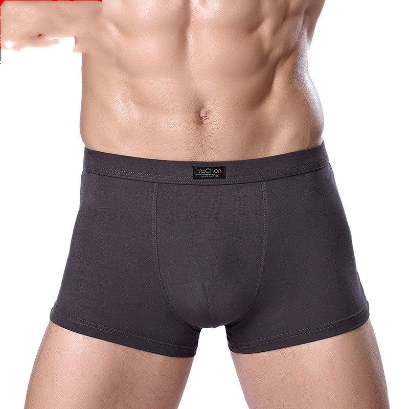 Thomas – Men's Bamboo Fiber Boxer Briefs