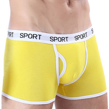 Paul – Men's Cotton Sports Boxer Shorts