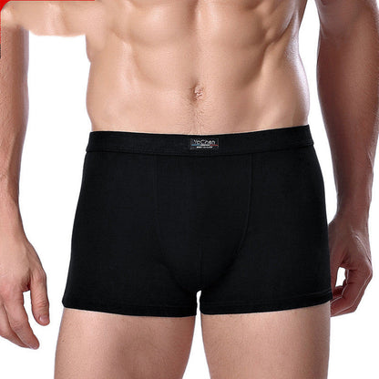 Thomas – Men's Bamboo Fiber Boxer Briefs